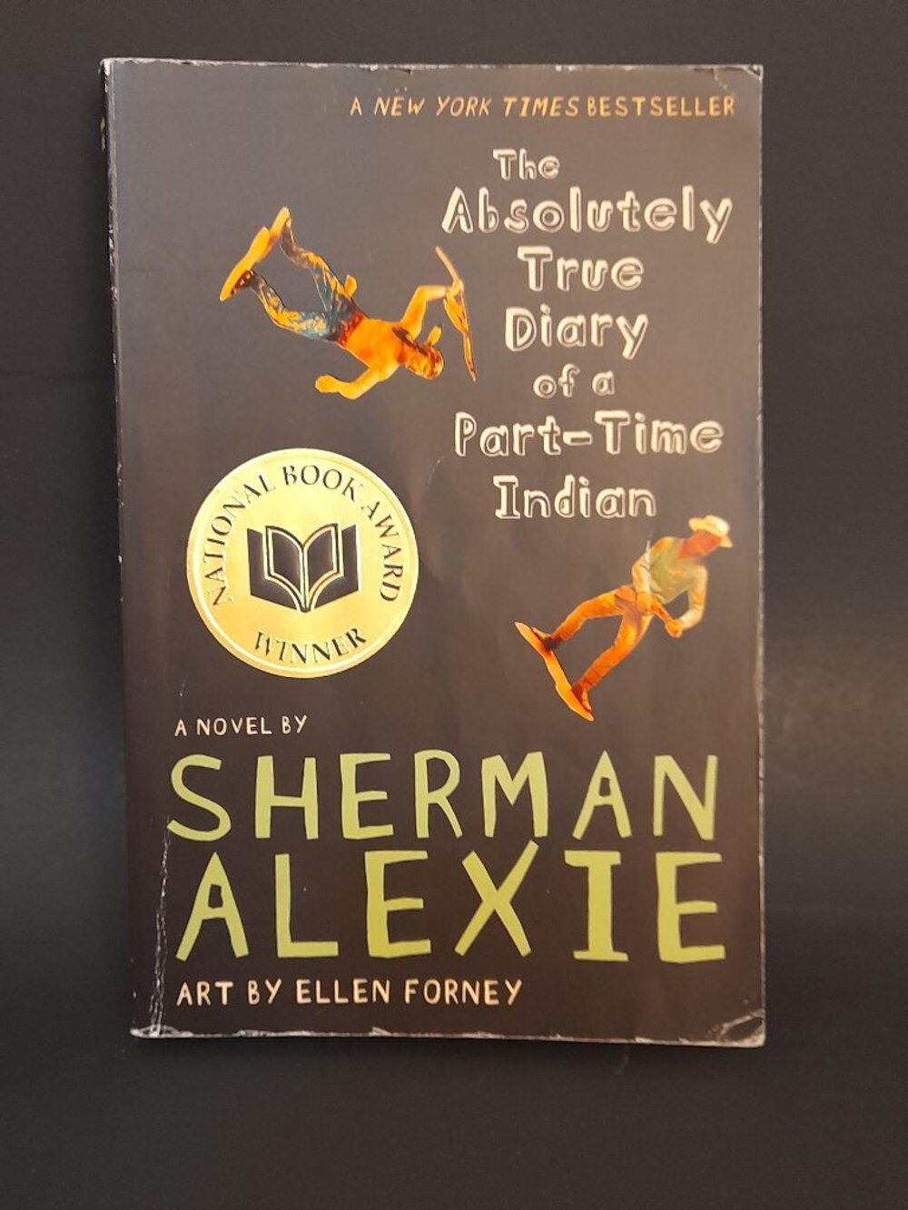 The Absolutely True Story of a Part-Time Indian Book